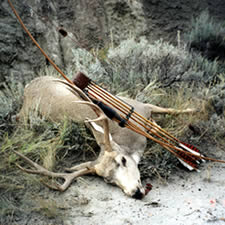 Bowhunting Deer