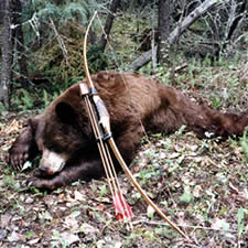 Bowhunting Bear